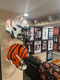 Full size helmet holder, NFL, mount, hanger, screw mount, football, authentic, alternate, flex